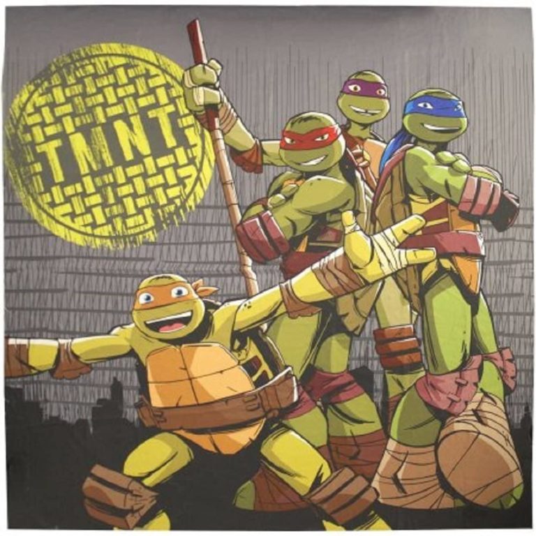 Teenage Mutant Ninja Turtles Cross Hatching Fabric Shower Curtain 72 x ...